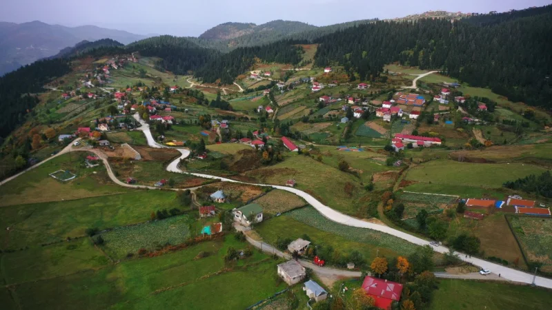 Ordu'nun Gözde Mahallesi Turnalık'ta Beton Yol Konforu