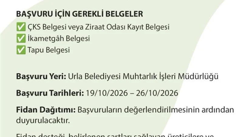 Urla'da Üreticilere Zeytin Fidanı Desteği Başlıyor