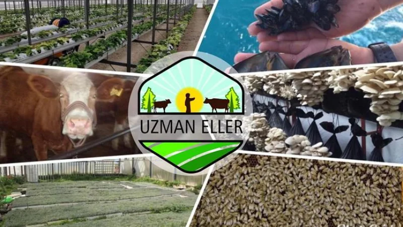 Afşin'de Tarım ve Hayvancılık Girişimcilerine 250 Bin TL Hibe Desteği