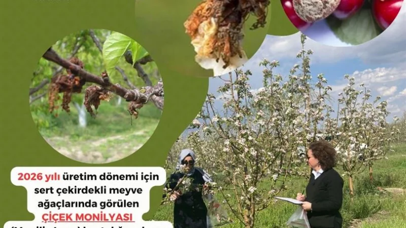 Afyonkarahisar'da Meyve Üreticilerine 'Çiçek Monilyası' İçin İkinci İlaçlama Uyarısı