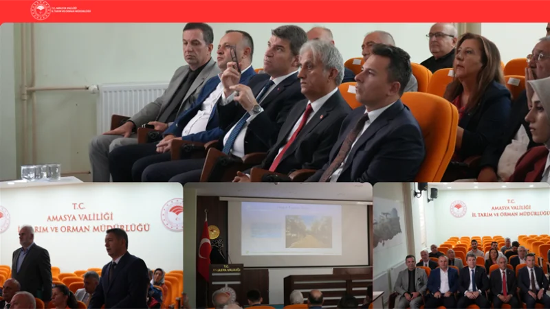 Amasya'da İl Hayvanları Koruma Kurulu Toplantısı Düzenlendi