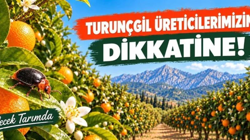 Antalya'da Turunçgil Üreticilerine Biyolojik Mücadele Çağrısı