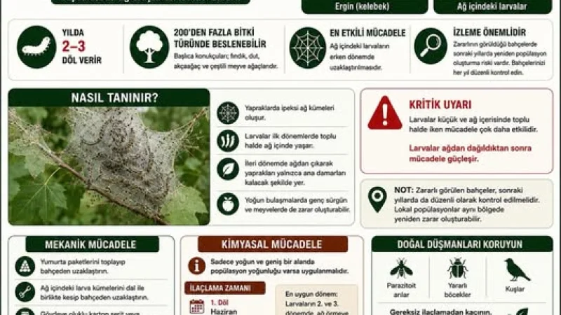 Artvin'de Amerikan Beyaz Kelebeği ile Mücadele İçin Eylem Planı