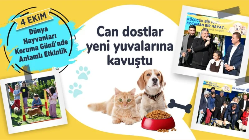 Balıkesir'de 4 Ekim Dünya Hayvanları Koruma Günü'ne özel sahiplendirme etkinliği