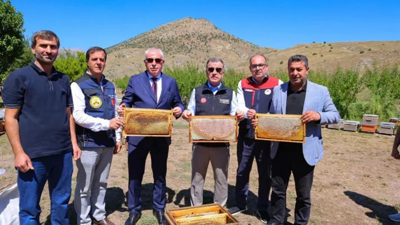 Bayburt'ta Bal Hasadı Başladı: Karşıgeçit Köyü'nde 430 Kovan Sağımı Yapıldı