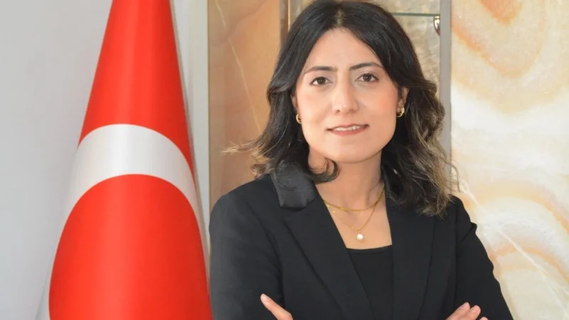 Demirözü'nde Yeni Kaymakam Göreve Başladı