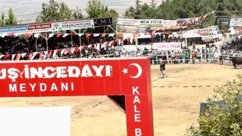 Denizli Kale'de Yörük Geleneği: 2. Geleneksel Kaledavaz Boğa Güreşleri Tamamlandı