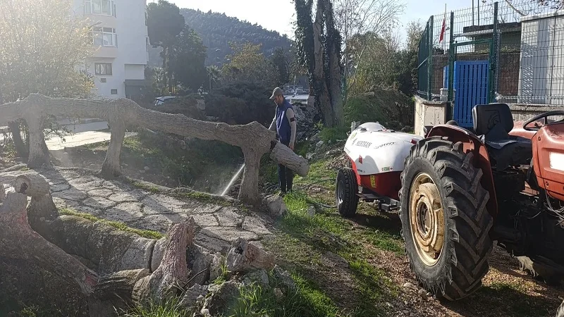 Erdek'te Park ve Bahçelerde Kapsamlı Bakım Çalışmaları Yürütüldü