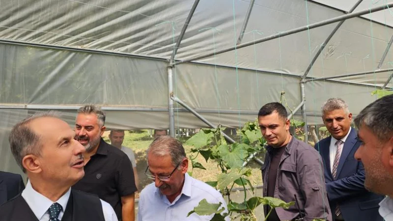 Hakkari'de Örtü Altı Üretim Tesislerinde İnceleme