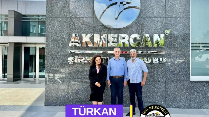 İdil'de 15 Kilometrelik Doğalgaz Projesi İçin Kapasite Artışı Girişimi