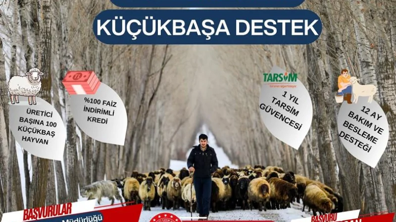 Karaman'da Kırsalda Bereket Küçükbaşa Destek Projesi İçin Başvurular Başlıyor
