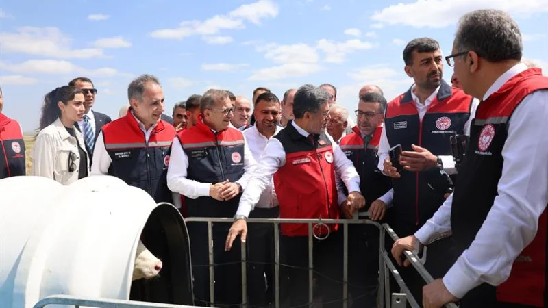 Kars'ta Hayvancılıkta Dijital Dönüşüm: GEKİS Uygulaması Başladı