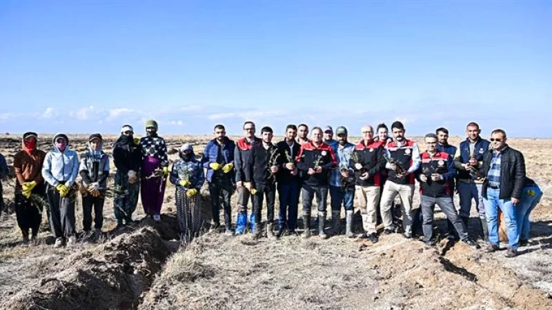 Kayseri'de Mera Islahı İçin 'Tuz Çalısı' Dönemi Başladı