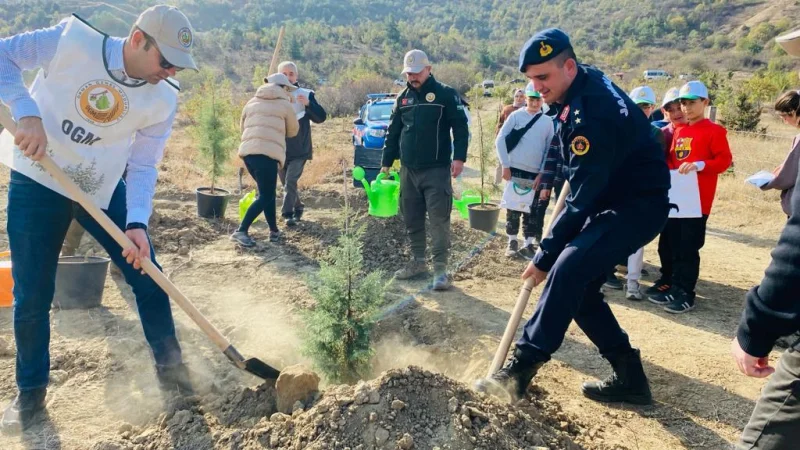 Koyulhisar'da Milli Ağaçlandırma Günü Kapsamında Fidanlar Toprakla Buluştu