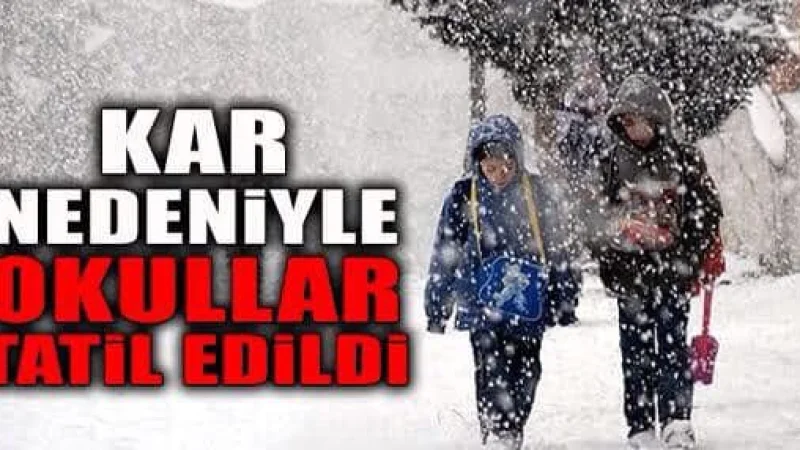 Nazımiye Kaymakamlığı'ndan Kar Yağışı Nedeniyle Eğitime Ara Kararı