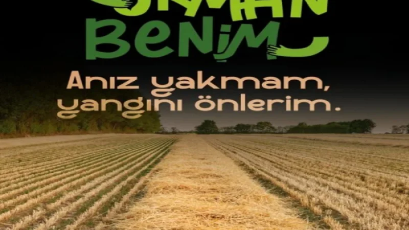 Pozantı'da Orman Yangınlarına Karşı Kapsamlı Yasaklar Getirildi