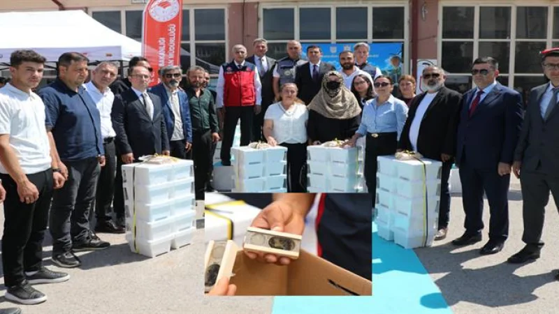 Sivas'ta Arıcılığı Güçlendirecek Proje: Damızlık Ana Arı ve Ekipman Desteği