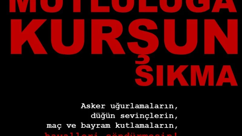 Suruç Kaymakamlığı'ndan 'Mutluluğa Kurşun Sıkma' Uyarısı