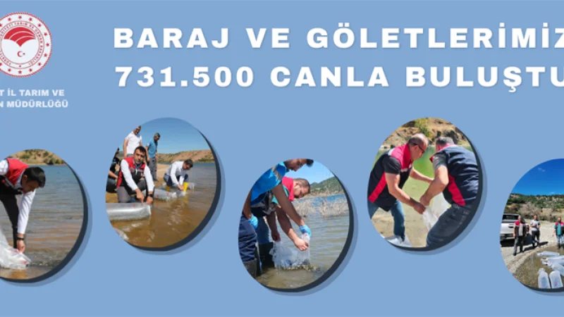 Tokat'ta Su Kaynaklarına 731 Bin 500 Yavru Balık Bırakıldı