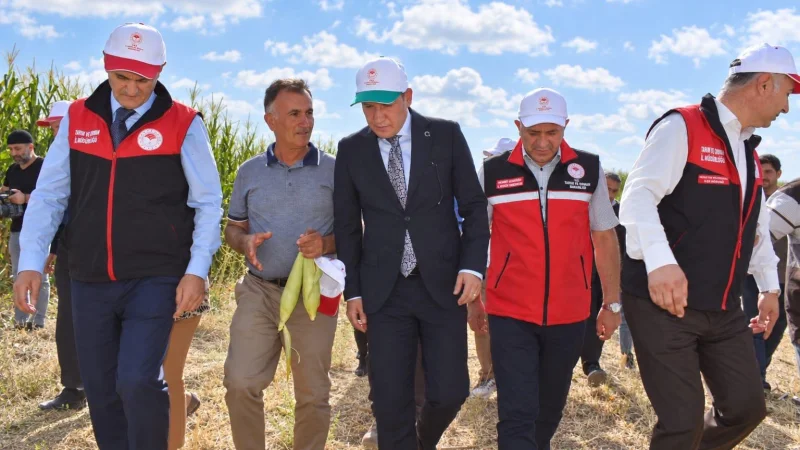 Tuşba'da Silajlık Mısır Hasadı Tarla Günü Düzenlendi