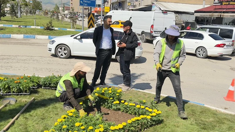 Yüksekova'da İpek Yolu Caddesi'nin Orta Refüjleri Yeşillendiriliyor