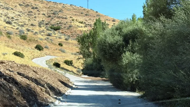Afşin'de Tanır Mesire Alanı Yolu Ulaşımına Düzenleme