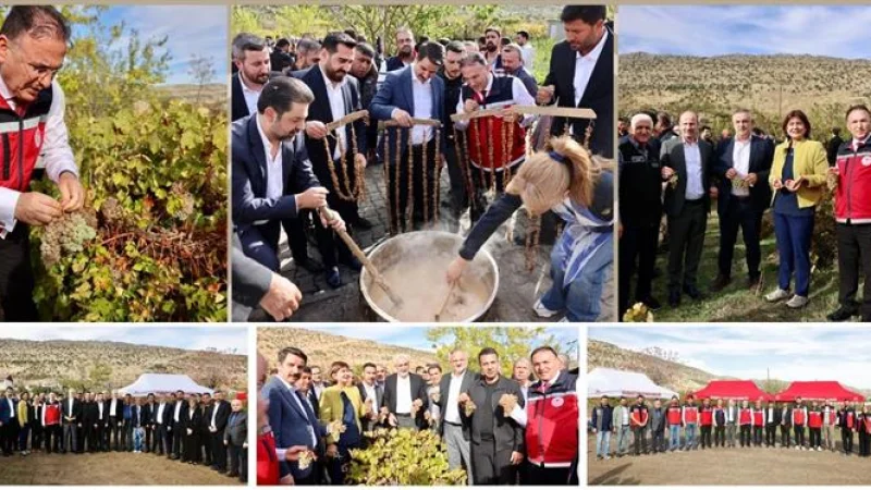 Diyarbakır Hani'de Geleneksel Bağbozumu Şenliği Düzenlendi