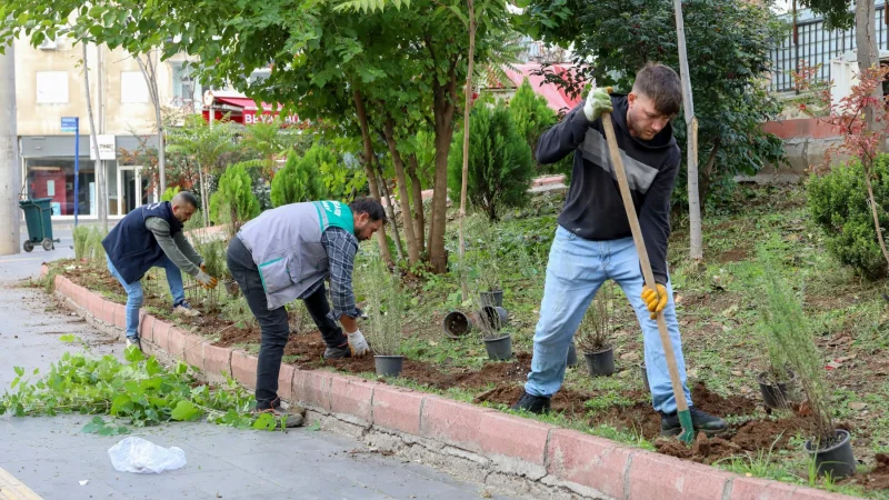 Diyarbakır Yenişehir’de Park ve Yeşil Alanlarda Bakım ve Düzenleme Çalışmaları Sürüyor