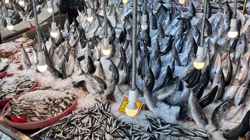 Karabük'te Balık Satış Noktalarına Sıkı Denetim