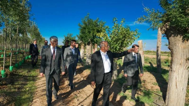 Malatya'da Yıllık 20 Bin Fidan ve 50 Bin Metrekare Rulo Çim Üretiliyor