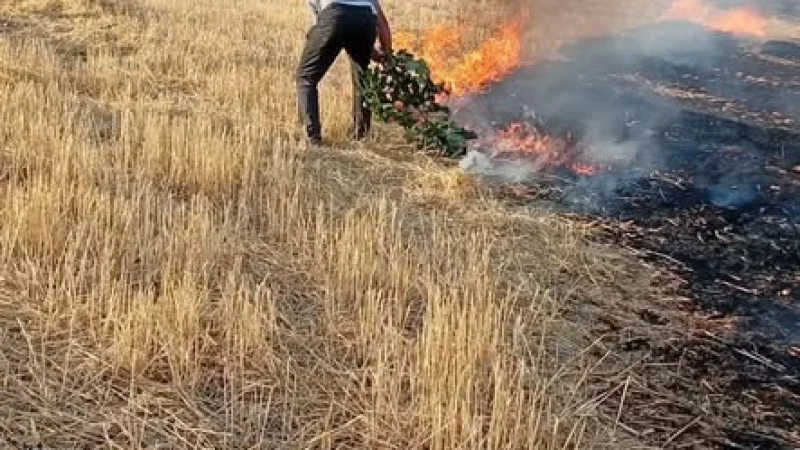 Mardin Savur'da Çıkan Yangına Ekiplerden Hızlı Müdahale