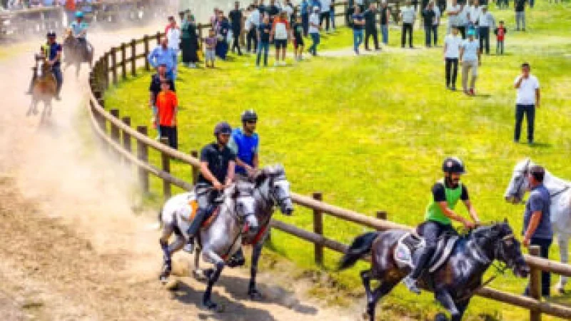 Ordu'da Cumhuriyet Kupası Rahvan At Yarışları 25 Ekim'de Yapılacak