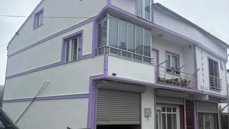 Ordu'da 'En Güzel Mahalle' Projesi Kapsamında Estetik Çalışmaları Sürüyor