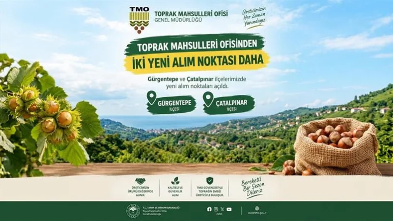 Ordu'da Toprak Mahsulleri Ofisi Fındık Alım Kriterleri ve Fiyatları Açıklandı