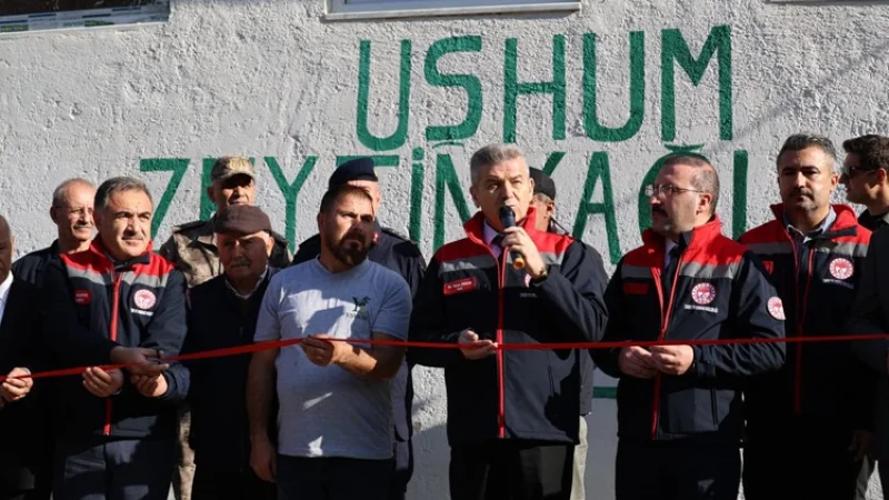Artvin'de Butko zeytini hasadı başladı: Yeni zeytinyağı tesisi hizmete girdi