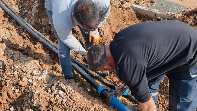 Batman'da Yeşil Alanlar Kış Koşullarına Hazırlanıyor