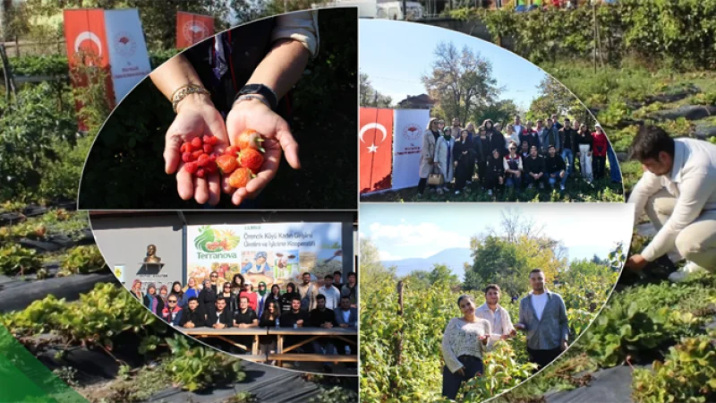 Bolu'da Ziraat Fakültesi Öğrencilerine Çilek ve Ahududu Eğitimi