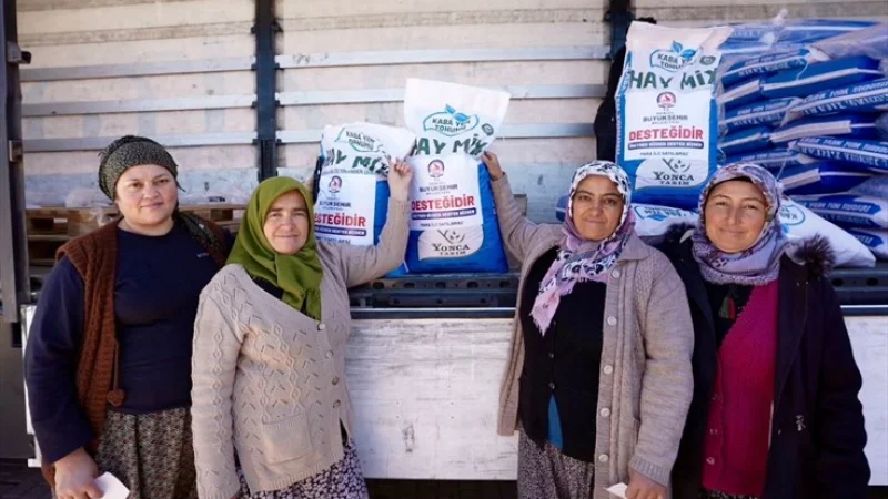 Denizli'de 19 İlçede 2.065 Üreticiye 170 Ton Yem Bitkisi Tohumu Desteği