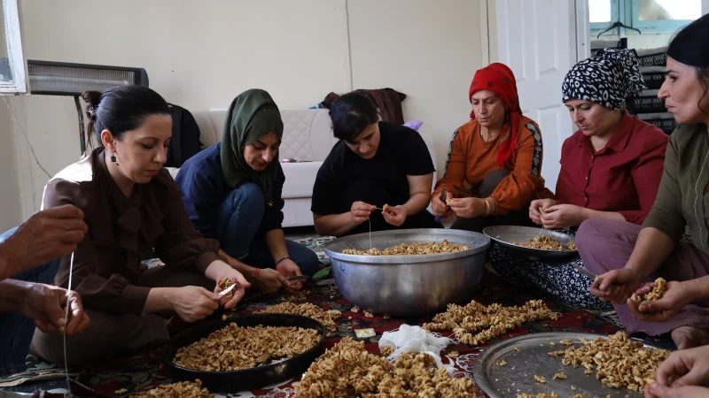 Diyarbakır Lice'de Kadın Kooperatifi ile Ortak Üretim Hamlesi