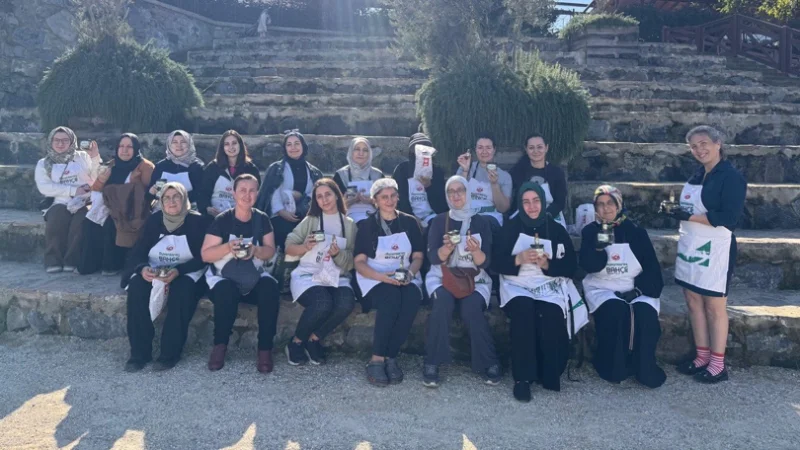 Fatih'te Ayvansaray Bahçe'de Zeytin Hasadı ve Salamura Etkinliği Gerçekleştirildi