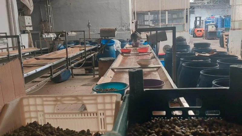 Gaziantep'te Bozuk Gıda Operasyonu: 1.8 Ton Ürün İmha Edildi