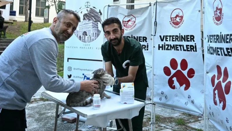 İstanbul Üniversitesi Kampüsündeki Sokak Hayvanlarına Yerinde Sağlık Hizmeti