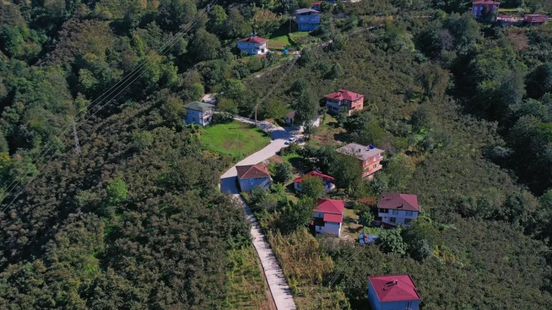 Ordu'da Çamaş Kanyonu'na Ulaşım Sağlayan Yolda Beton Çalışması