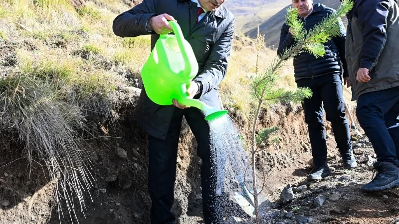Erzurum'da 'Uzlaştırma Ormanı' için fidanlar toprakla buluştu