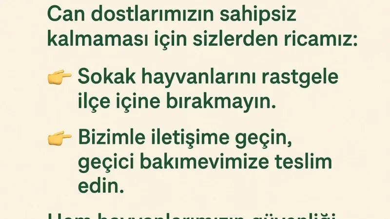 Hozat'ta Sokak Hayvanları İçin Kontrollü Barınak Süreci Başlatıldı
