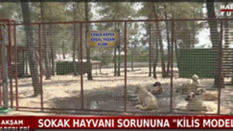 Kilis'te Geçici Rehabilitasyon ve Doğal Koruma Alanı Faaliyete Geçti
