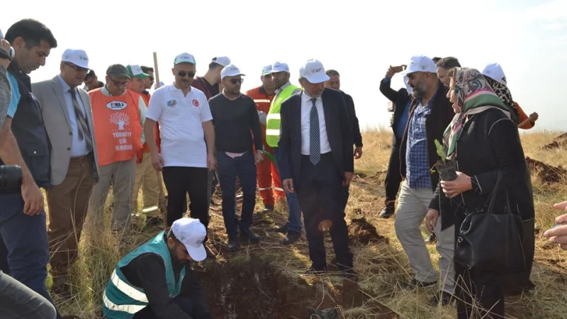 Kırıkhan'da Milli Ağaçlandırma Günü'nde 3 bin 649 çam fidanı toprakla buluştu