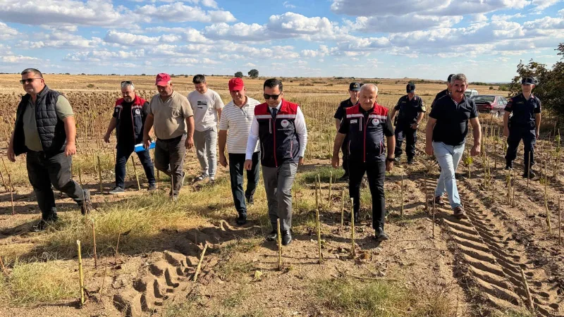 Lalapaşa'da Ayçiçeği Hasadı Başladı: Kaymakam Çolak Tarlada İncelemelerde Bulundu