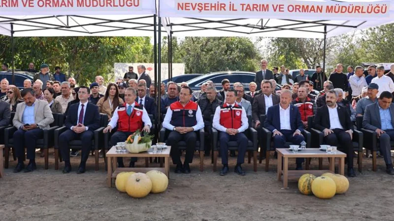 Nevşehir'de Çerezlik Kabak Hasadı: Türkiye Üretiminin Yarısı Bu Topraklardan