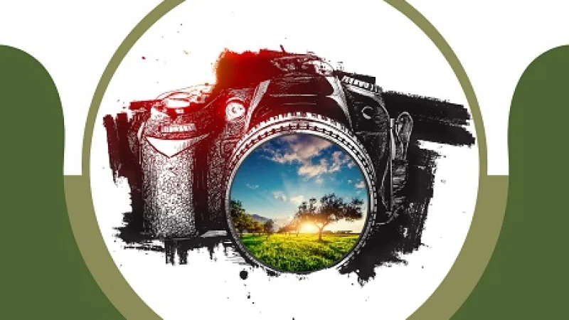 Nizip Zeytin Festivali Fotoğraf Maratonu'nda Kazananlar Belli Oldu